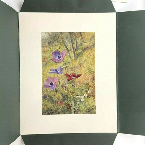 Amon Carter Museum 1988 Fruit Flowers Art Prints Portfolio 16x20 Set Of 5 - Picture 5 of 12